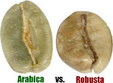 arabicavsrobusta.jpg